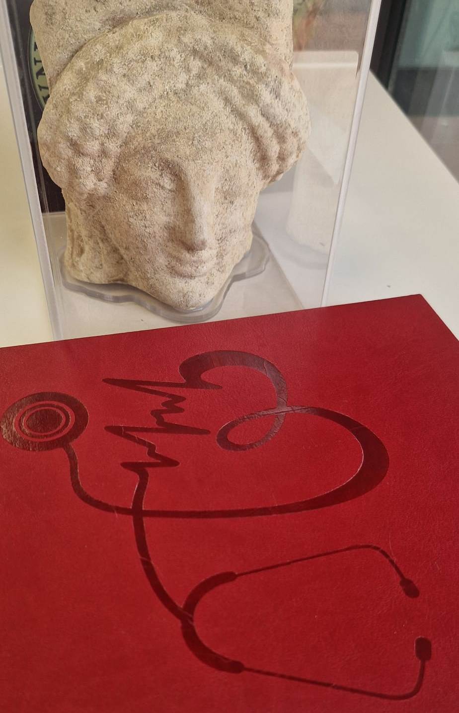 Tradizionale tesi in medicina similpelle rosso bordeaux