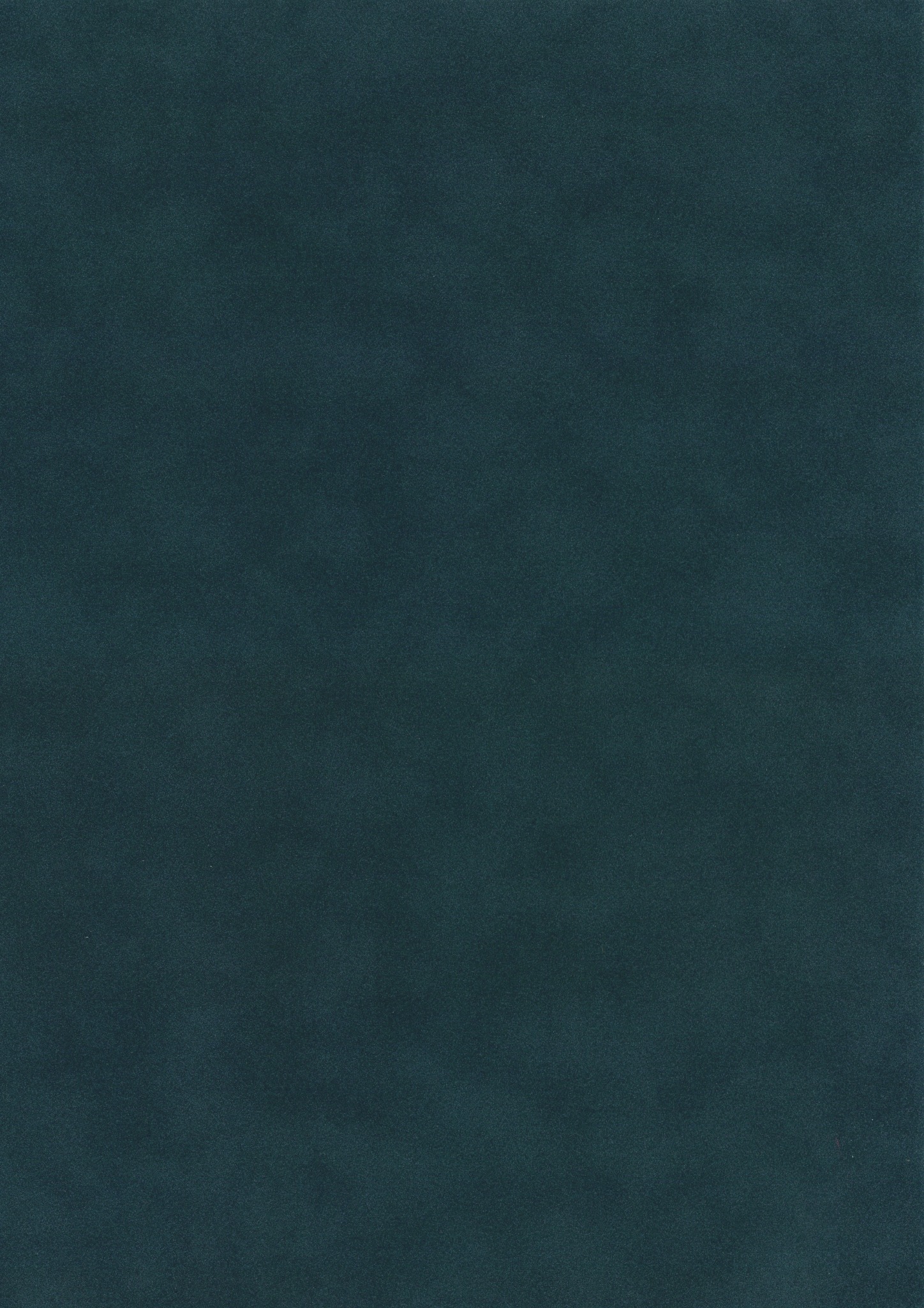 Scamosciata Blu